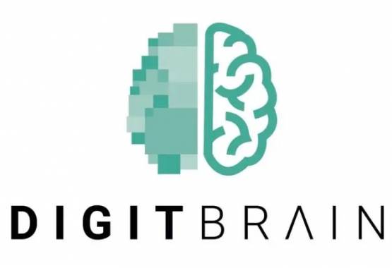 logo digit brain